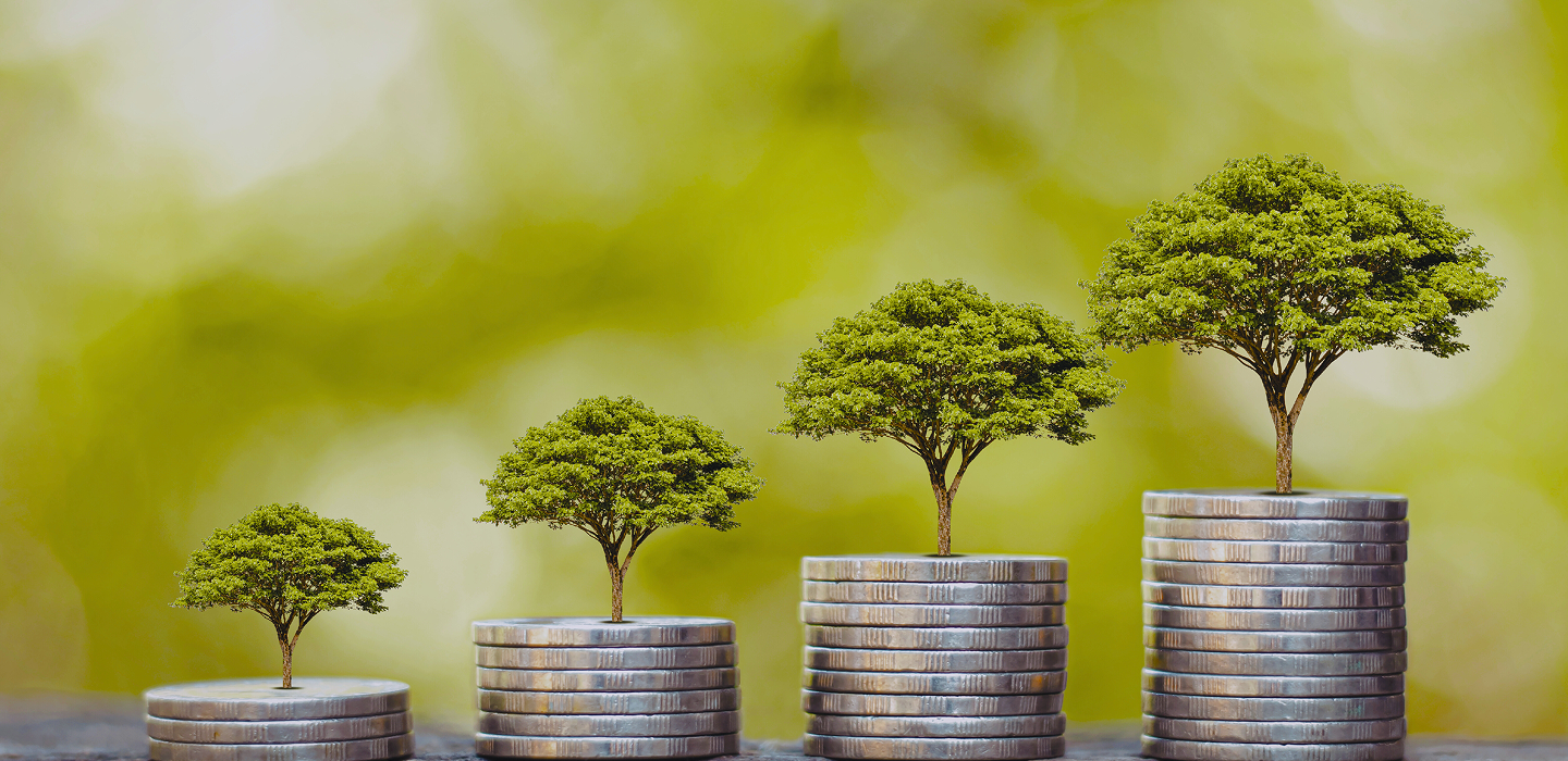 Early Revenue & Growth