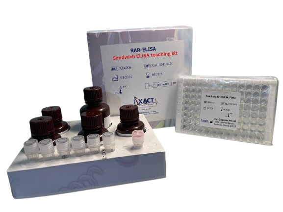 Xact Diagnotek